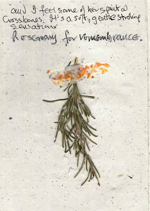 a scanned rosemary branch, taped onto a page with autumnal patterned tape. text reads 'rosemary for remembrance'