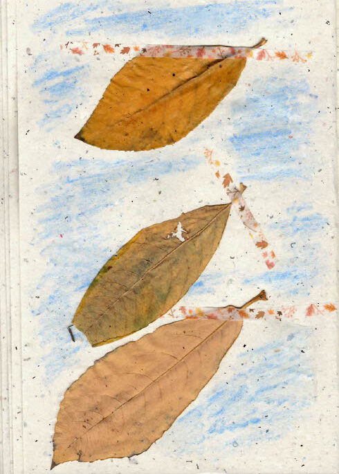 Three dried brown leaves attached to short stems arranged vertically on textured paper with light blue crayon shading; no visible text.