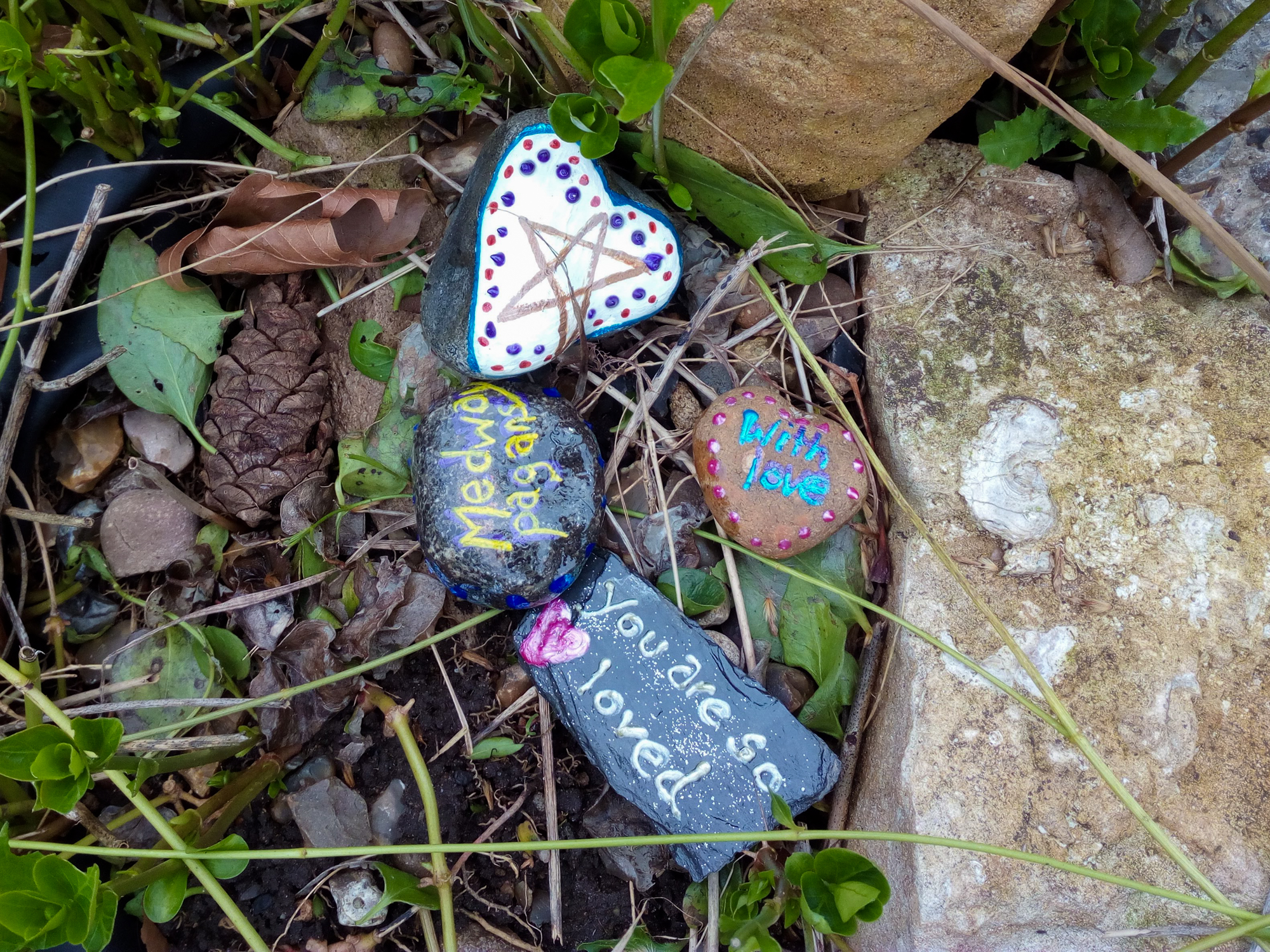 4 painted stones nestled among fresh and fallen vegetation and rubble, reading Meadow Pagans; with love; you are so loved; and showing a five pointed star