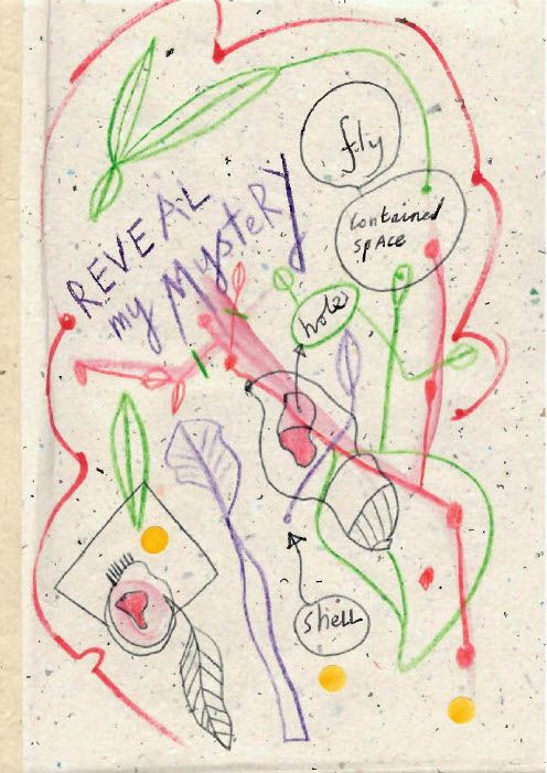 Abstract line drawing with colourful organic shapes and handwritten words including: ‘REVEAL my MYSTERY,’ ‘fly,’ ‘contained space,’ ‘hole,’ and ‘shell.