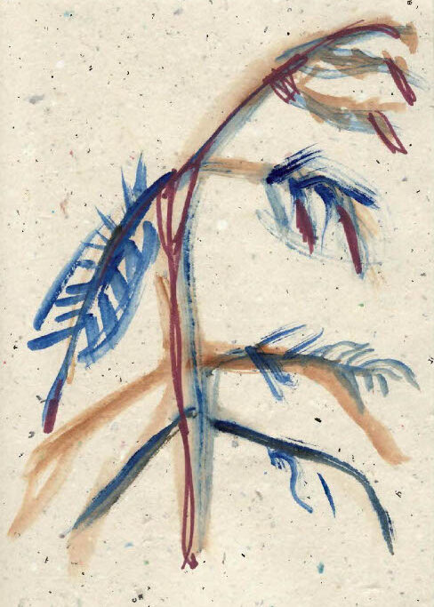 Watercolour drawing of a bending Deodar Cedar in reddish brown, blue, and purple on textured paper; no visible text.